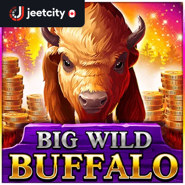 big wild buffalo